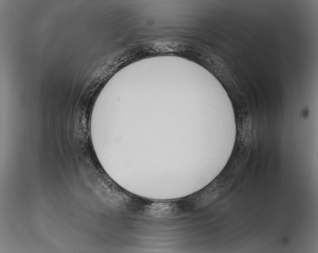 X0000115510418200912041106