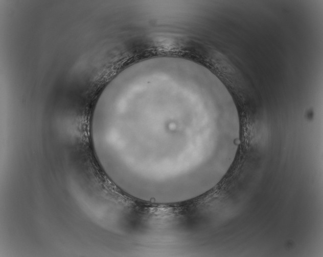 X0000115510419200912041106