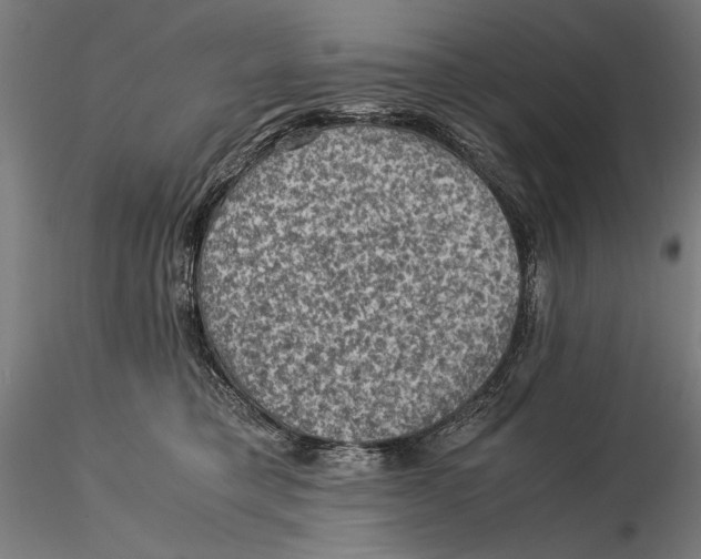 X0000115510421200912041106