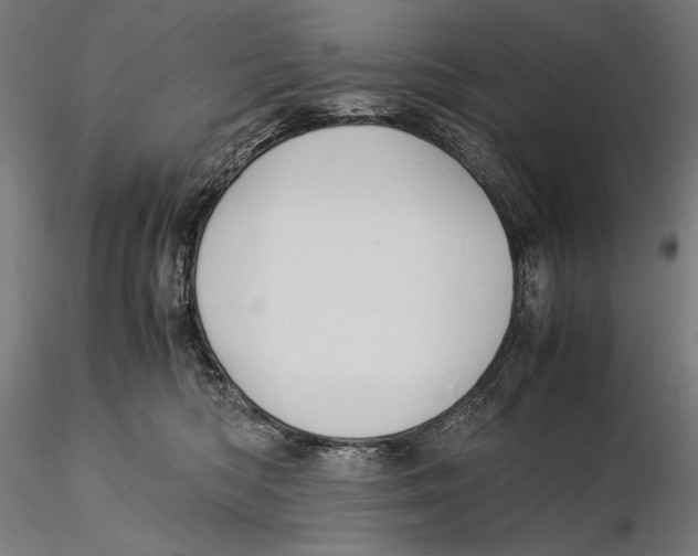 X0000115510422200912041106