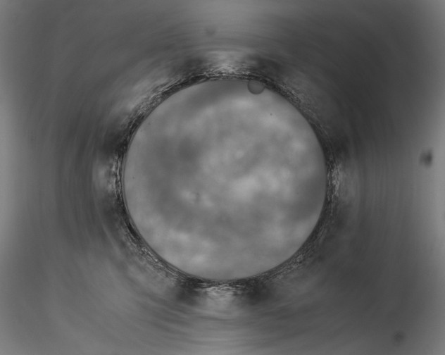 X0000115510423200912041106