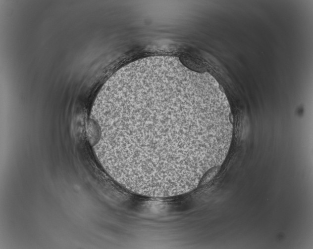 X0000115510425200912041106