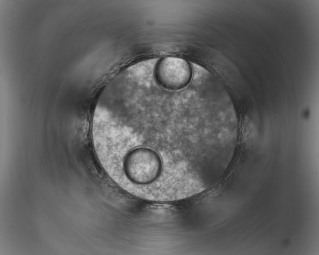 X0000115510427200912041106