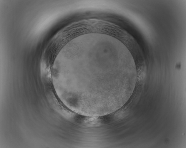 X0000115510431200912041106