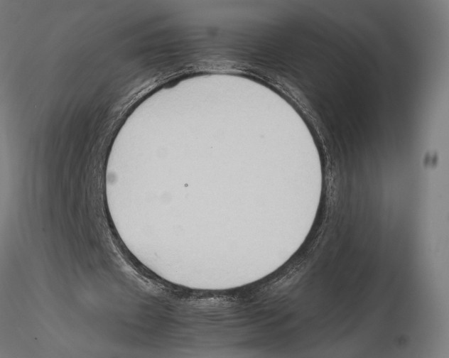 X0000115510433200912041105