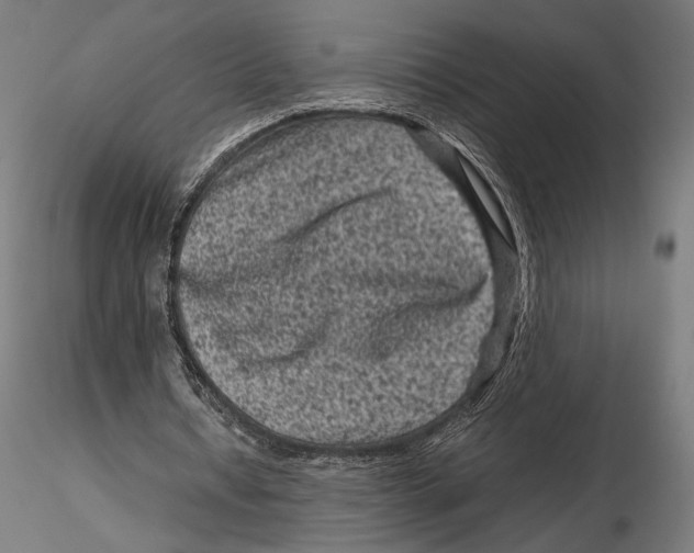 X0000115510434200912041105