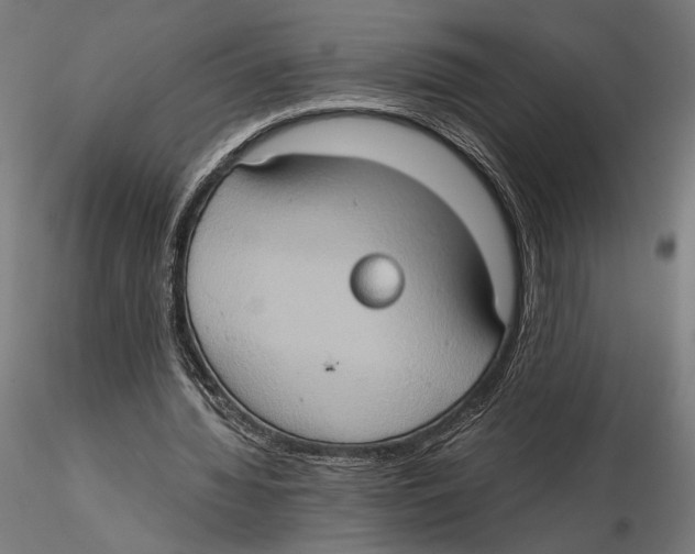 X0000115510436200912041105