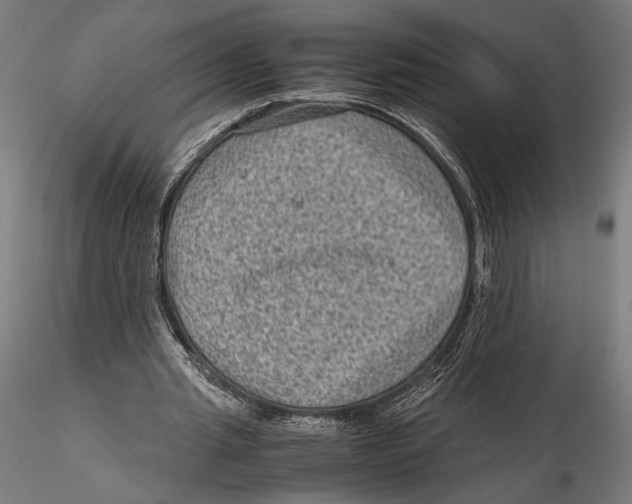 X0000115510437200912041105