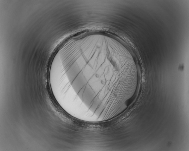 X0000115510438200912041105