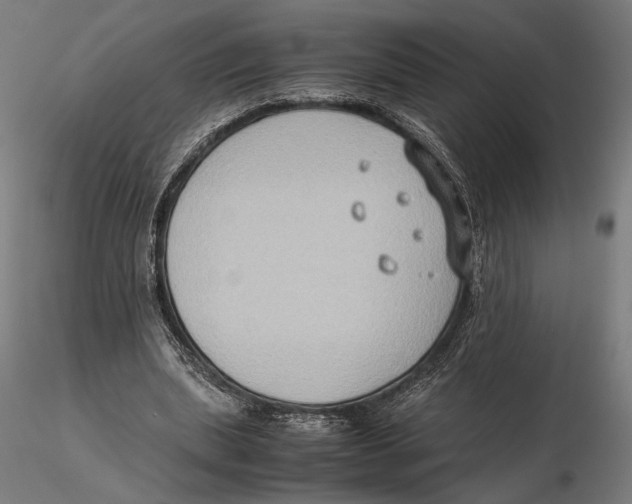 X0000115510439200912041105