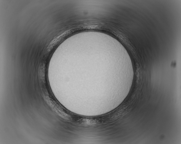 X0000115510442200912041105