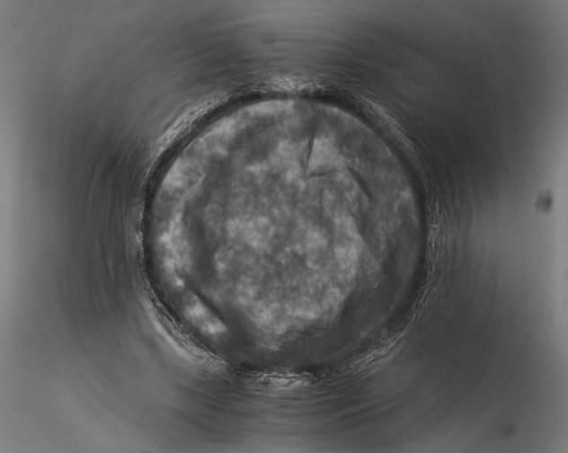 X0000115510443200912041105