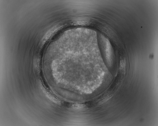 X0000115510444200912041105