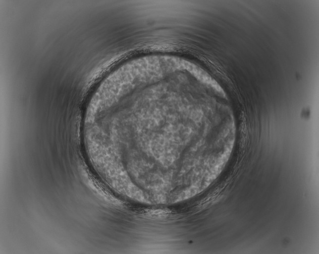 X0000115510446200912041105