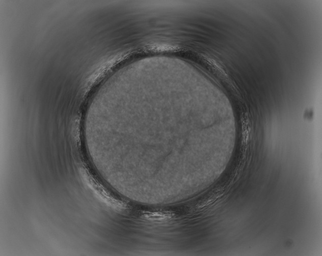 X0000115510447200912041105