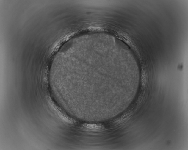 X0000115510449200912041105