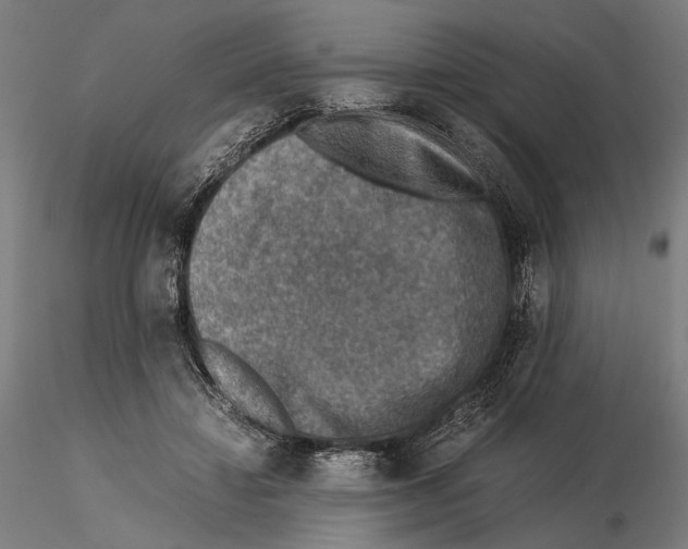 X0000115510452200912041105