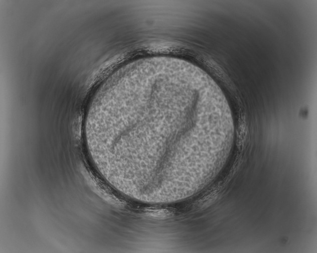 X0000115510454200912041105