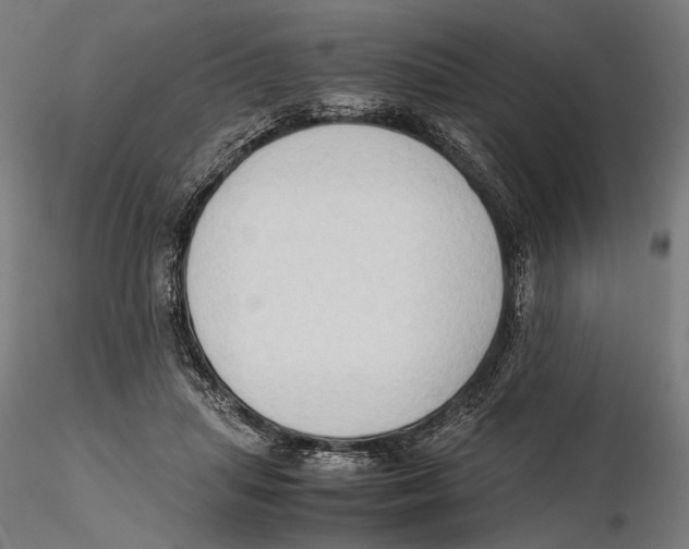 X0000115510455200912041105