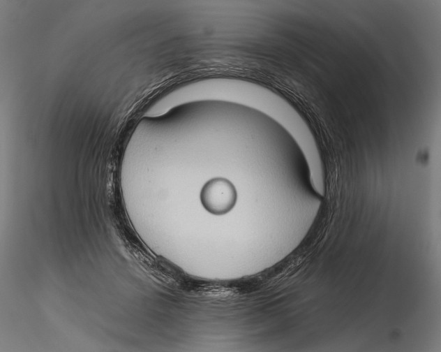 X0000115510456200912041105