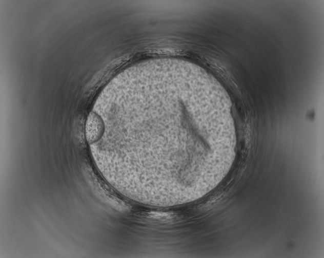 X0000115510457200912041105