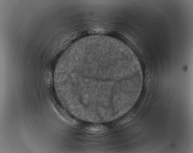 X0000115510459200912041105