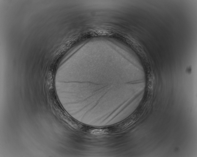 X0000115510465200912041105