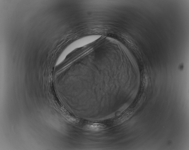 X0000115510467200912041105