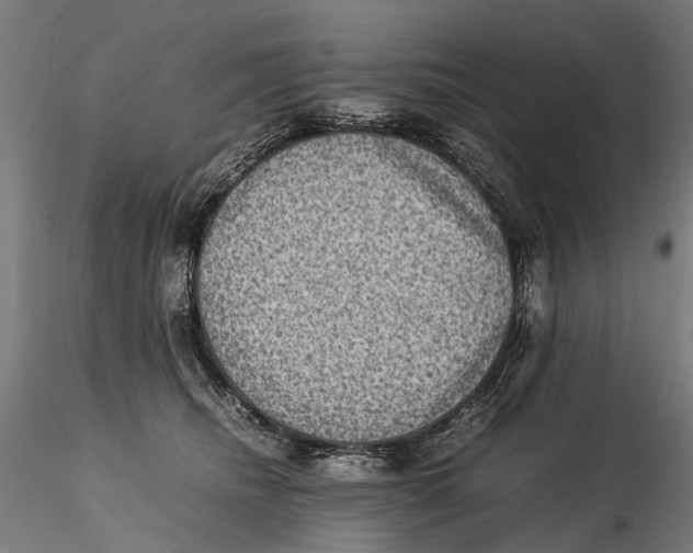 X0000115510468200912041105