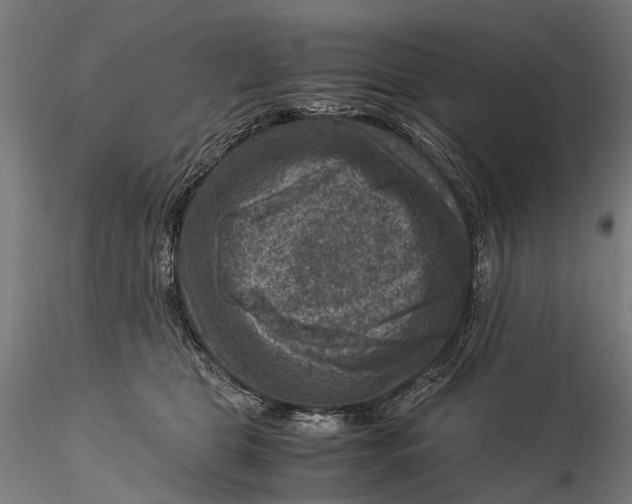 X0000115510469200912041105