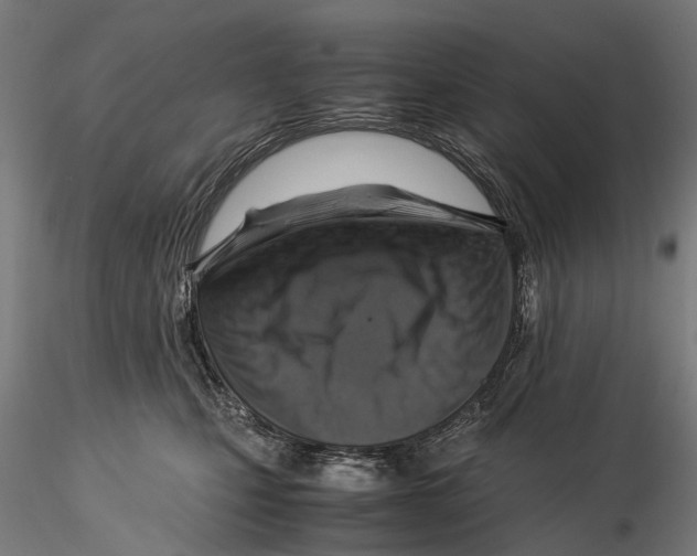 X0000115510471200912041106