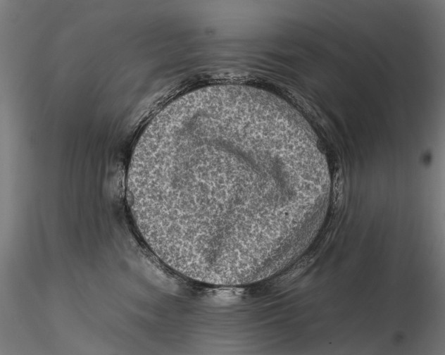 X0000115510474200912041106