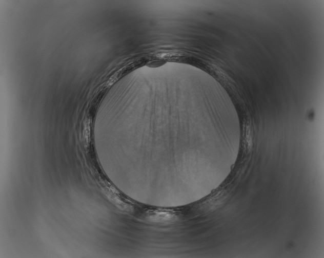 X0000115510475200912041106