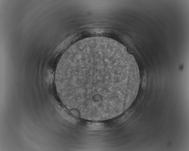 X0000115510476200912041106