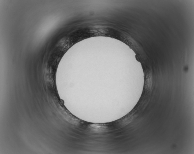 X0000115510477200912041106