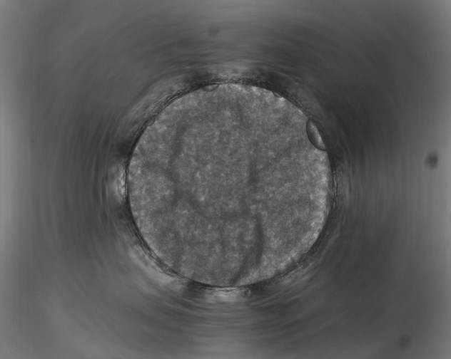 X0000115510479200912041106