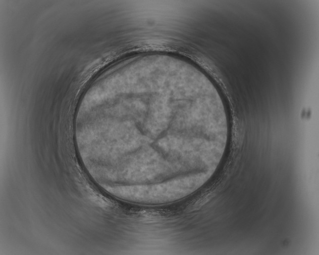 X0000115510481200912041105