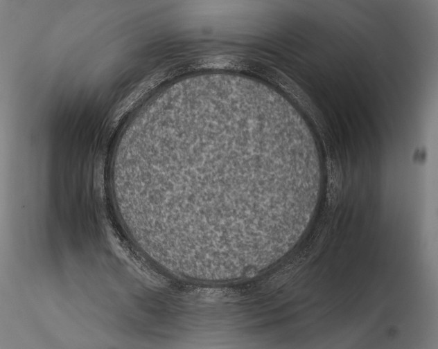 X0000115510482200912041105