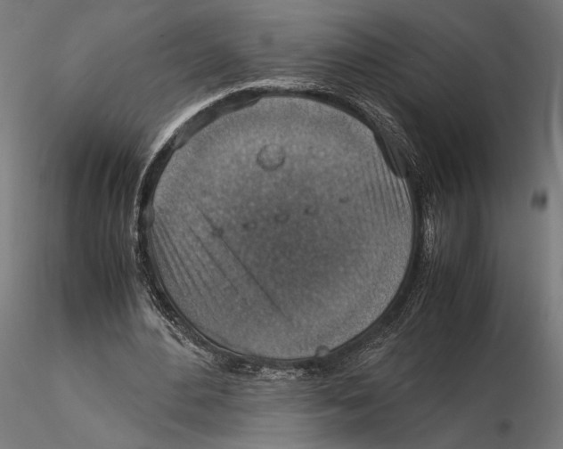 X0000115510484200912041105