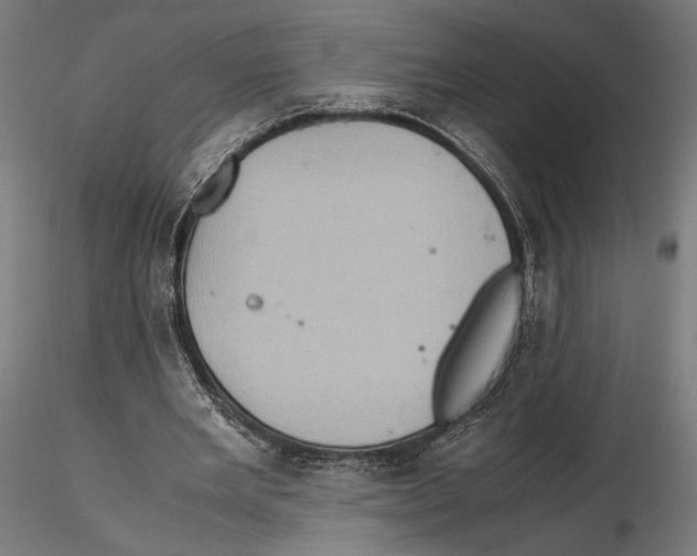 X0000115510485200912041105