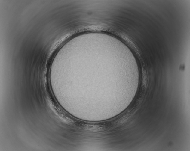 X0000115510486200912041105