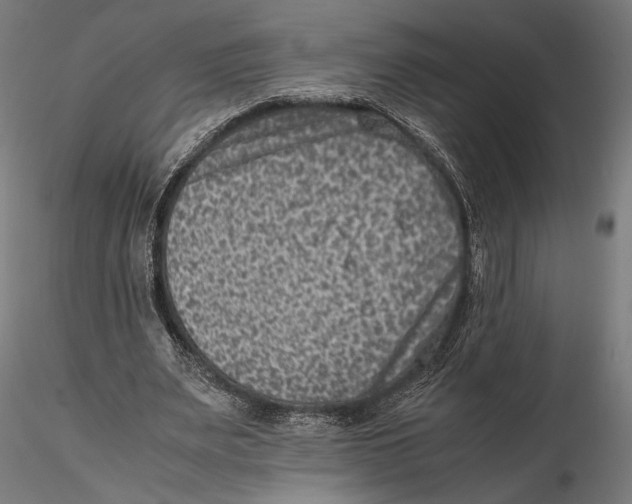 X0000115510487200912041105