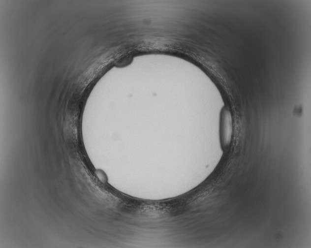 X0000115510489200912041105