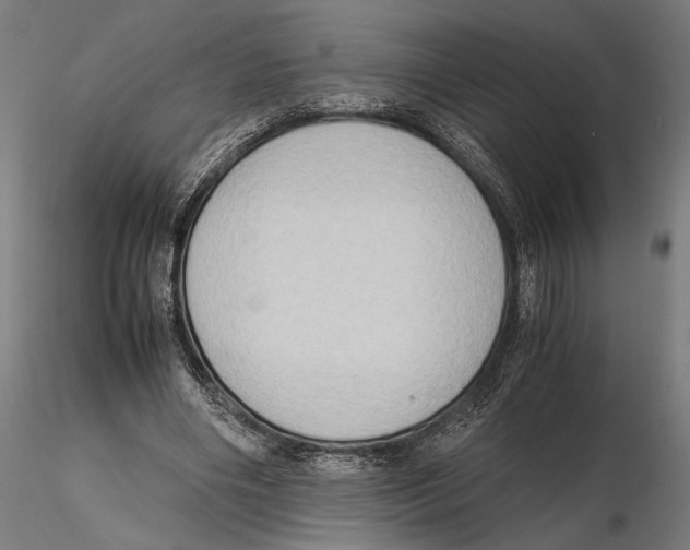 X0000115510490200912041105