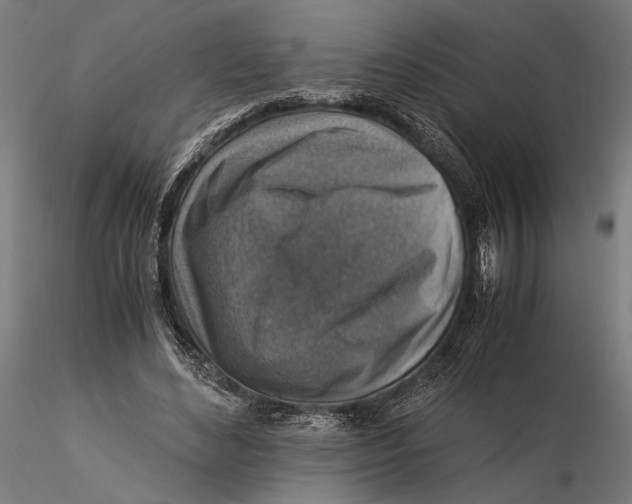 X0000115510492200912041105