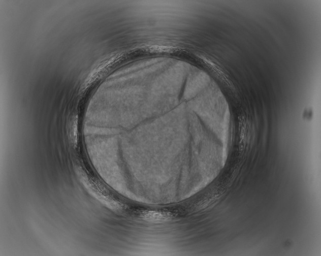 X0000115510494200912041105