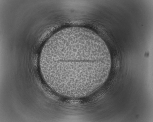 X0000115510495200912041105