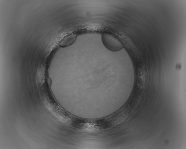 X0000115510496200912041105