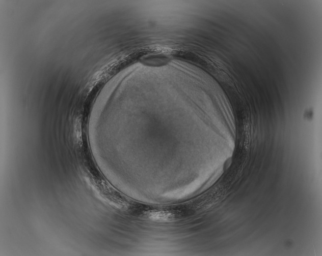 X0000115510500200912041105