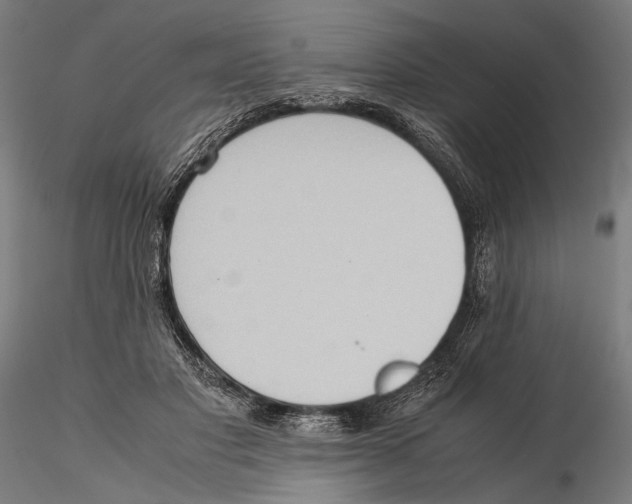 X0000115510501200912041105